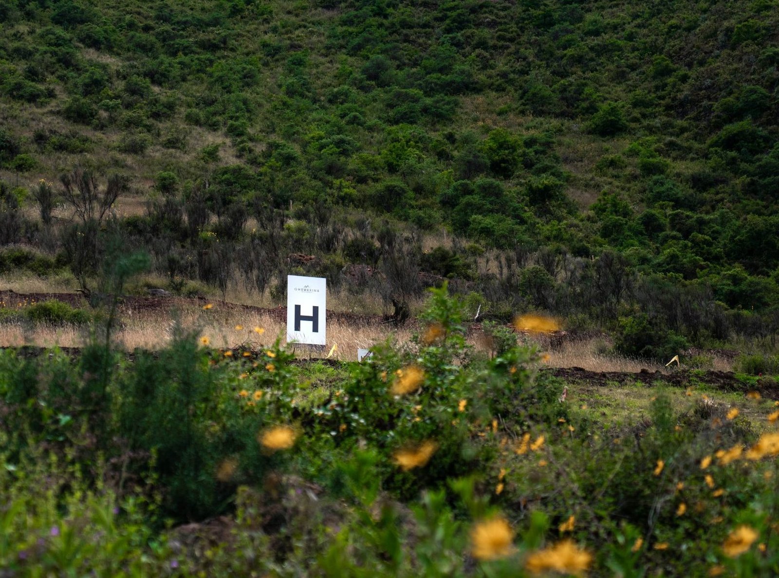 Terreno Qhawarina