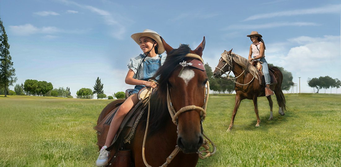 P-Item-galeria-Caballos-HaceindaLaJoya-1100x540px